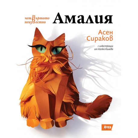 Четвъртото неизвестно, книга 3: Амалия