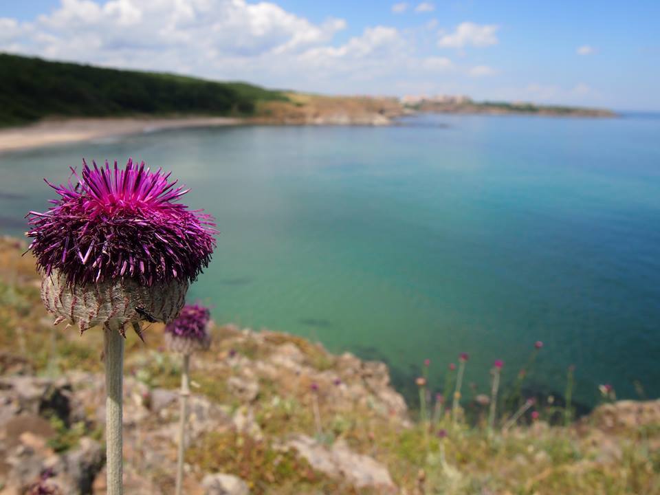 Непознатото Черно море със Стефания Клайн