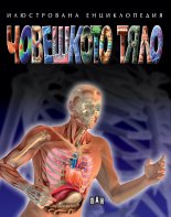 Илюстрована енциклопедия - Човешкото тяло