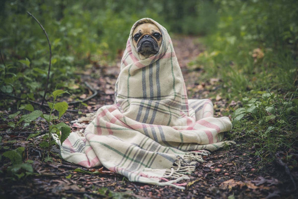 Photo by Matthew Henry on Unsplash