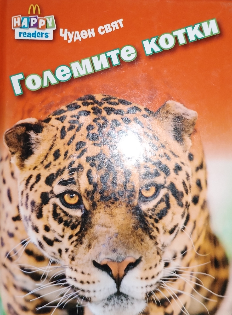 Големите котки