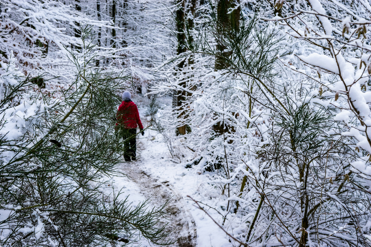 Снимка: unsplash