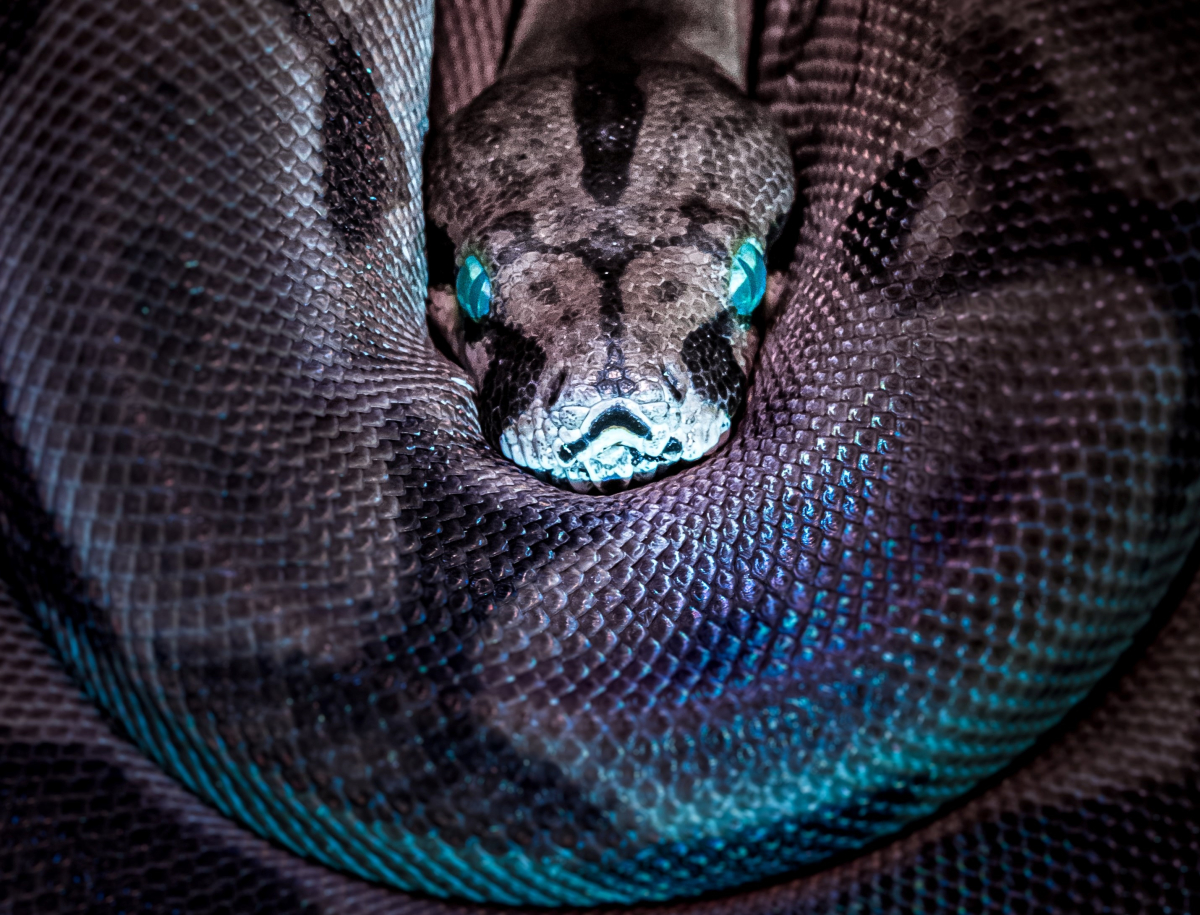 Снимка: Jan Kopřiva, Unsplash