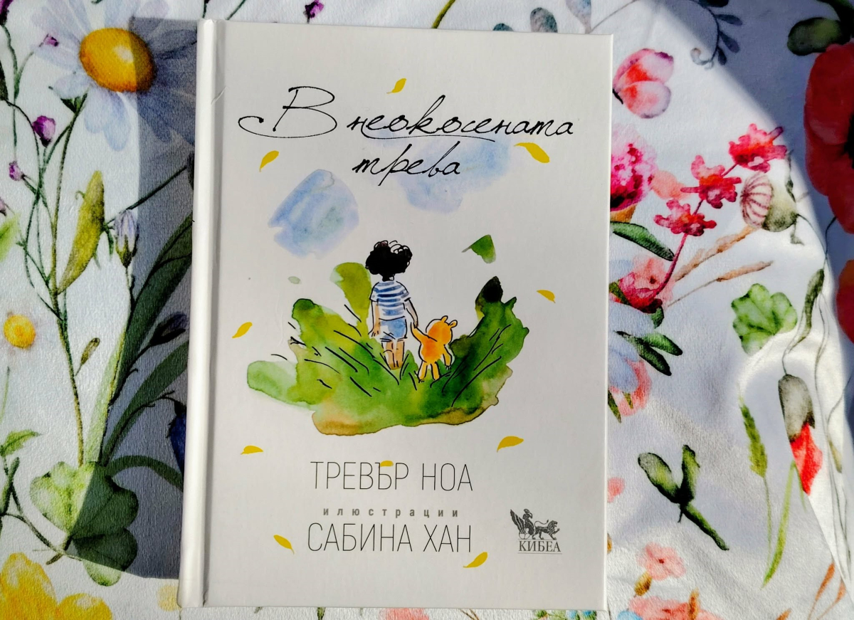 Пътешествие далеч-далеч, ей там, отвъд оградата