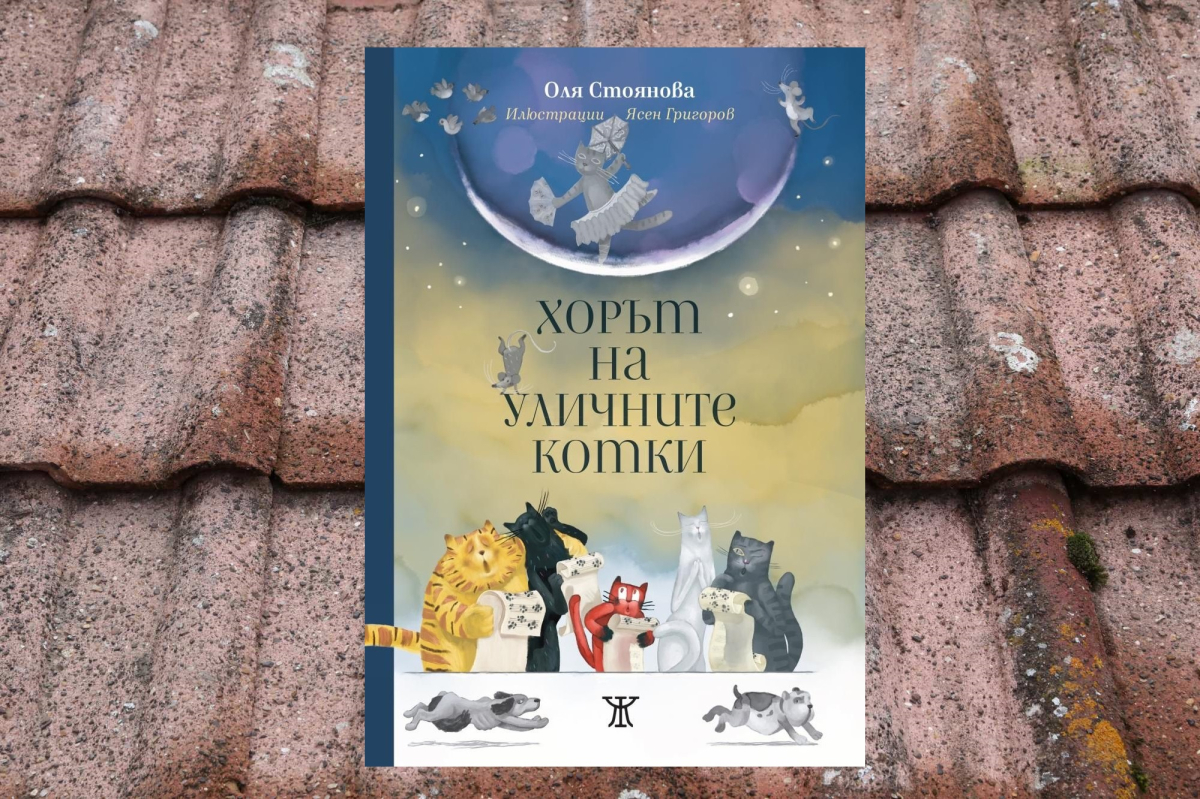 Котешки премеждия по покривите над града
