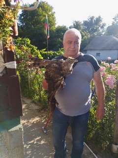 Спасението на едно орле