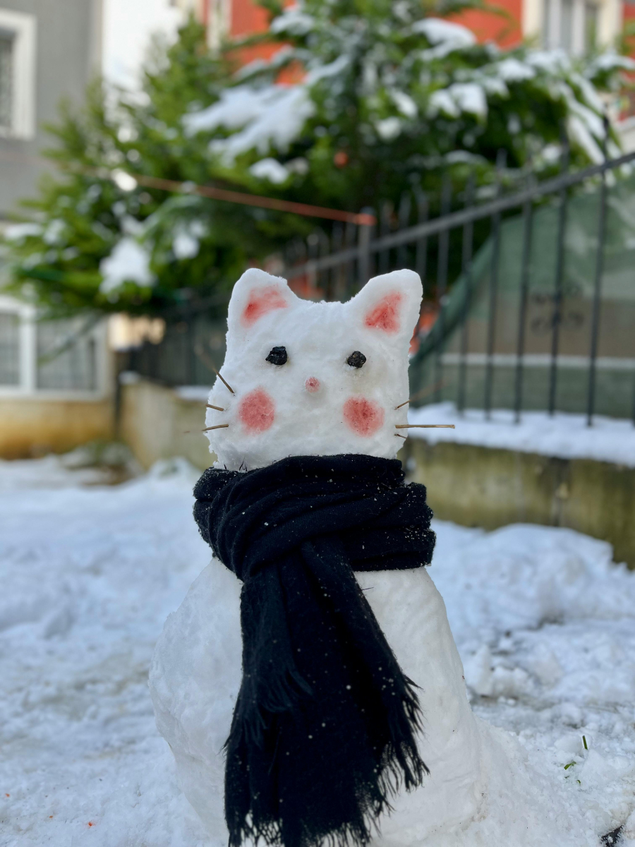 Сняг и студ!