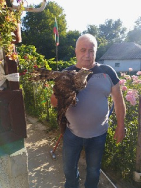Спасението на едно орле