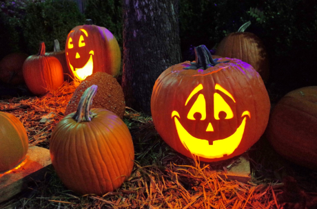 Trick or Treat – Xелоуин – един от любимите празници на децата по света